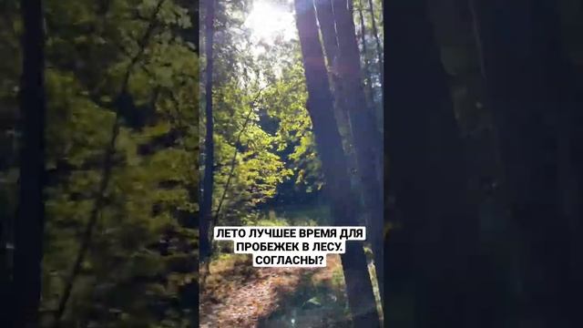 Лето лучшее время для пробежек в лесу. Согласны? Вы бегаете по утрам? смотреть онлайн