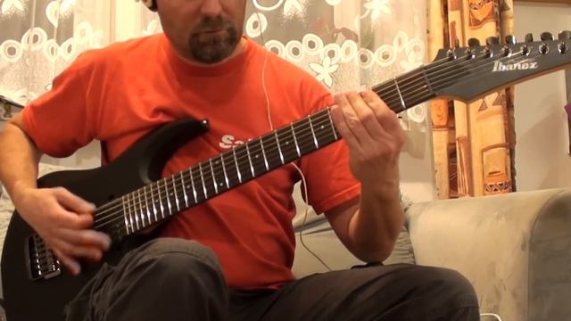 Chaoseum - My wonderland guitar cover by Cinas смотреть онлайн