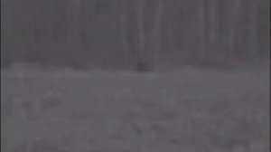 223 Rem по кабану 100 кг на дистанции 100-120 метров.