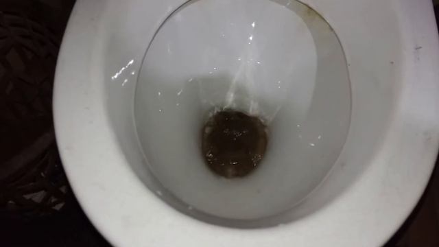 выходи подлый трус 😡 смотреть онлайн