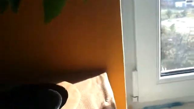 Customized speaker system Genius SW-G2.1 1250 bass test смотреть онлайн