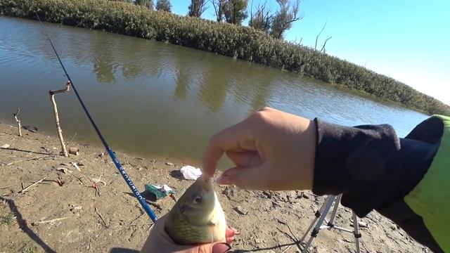 ПОЕХАЛА на РЫБАЛКУ!ЧТО Я НАШЛА В ЛЕСУ? Вы не поверите! смотреть онлайн