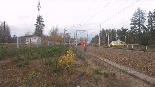 Задорожная Иван Владимирович Учебный Переулок 10 Корпск 4 275 Квартира 3 Три Этаж Санкт Петербург Е смотреть онлайн