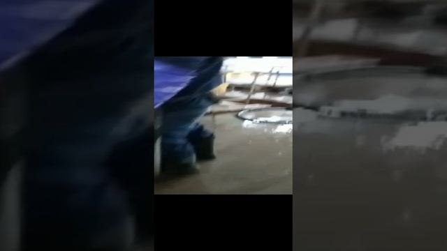 Кукумария
Морской огурец смотреть онлайн