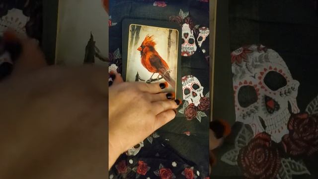 Halloween Deck ? смотреть онлайн