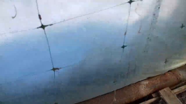 Лучшее средство от мышей в теплице да и на хозяйстве.