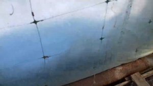 Лучшее средство от мышей в теплице да и на хозяйстве.