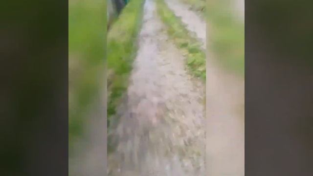 На Kugoo G1 в карьере 14 июня 2022 г. смотреть онлайн