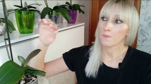 ЧТО ДЕЛАТЬ С ОРХИДЕЕЙ СРАЗУ ПОСЛЕ ПОКУПКИ В МАГАЗИНЕ / Купили, подарили орхидею, что с ней делать?