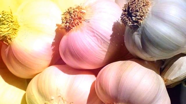 ЧЕСНОК ПОЛЬЗА И ВРЕД