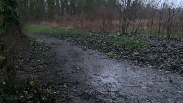 Прогулка под весенним дождём с зонтиком (Звук)