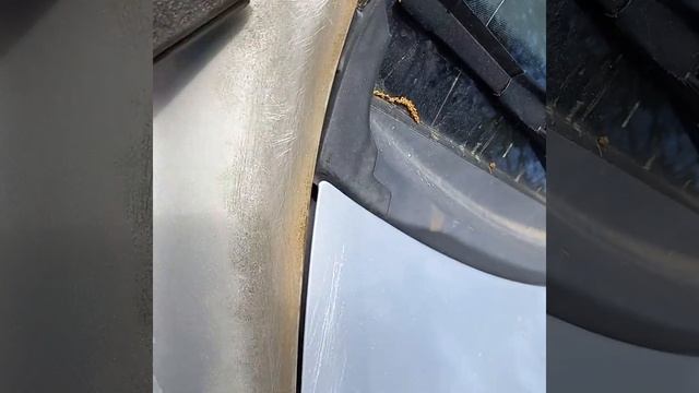 2004 Kia Spectra Right Fender Paint Job: passenger fender preparation смотреть онлайн