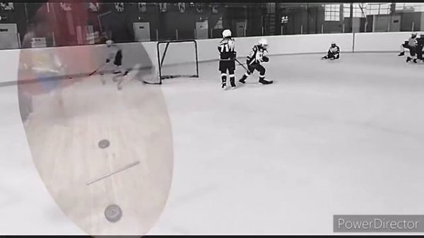 Хоккей. Тренировки на льду/ Тренировки дома. https://www.youtube.com/playlist?list=PLPdWr4T63BK0