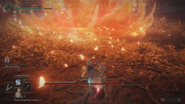 Malenia, Blade of Miquella - Carian Slicer (No Damage) смотреть онлайн