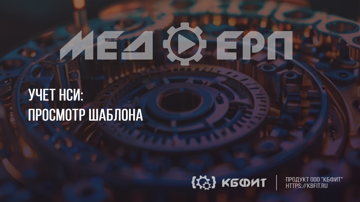 КБФИТ: МЕДЕРП. Учет НСИ: Просмотр шаблона