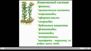 Радиола розовая(золотой корень)