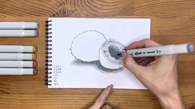 Как нарисовать кокос карандашом и скетч маркерами | Рисунок для детей, поэтапно и легко смотреть онлайн