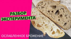 ДЕТАЛЬНЫЙ РАЗБОР ?эксперимента с ослабленным брожением теста на закваске