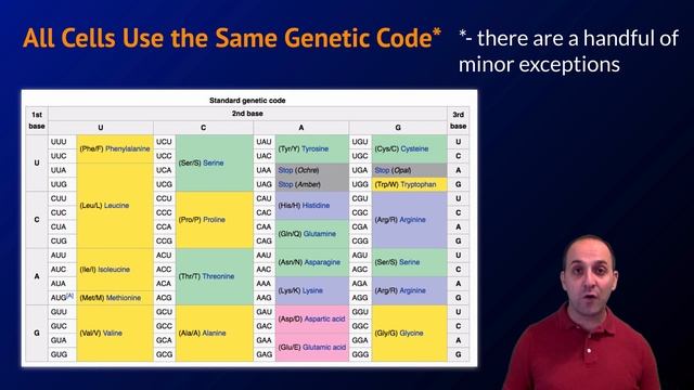 K-Bio Evolution 6: Evidence of Common Ancestry смотреть онлайн