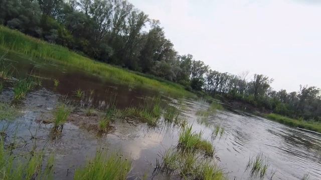 Жерех на Zipbaits Rigge смотреть онлайн