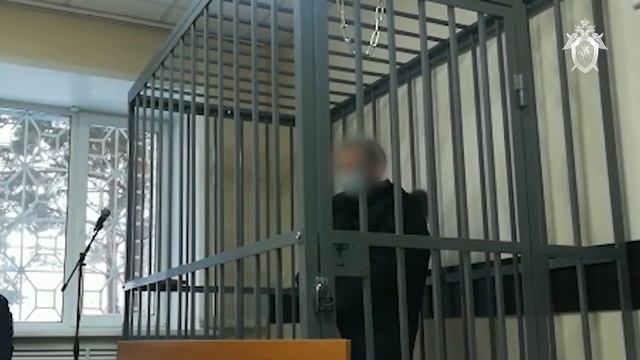 Выбор меры пресечения родителям, выгнавшим пятилетнего ребенка на мороз в Алтайском крае смотреть онлайн
