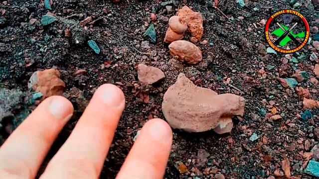 Раннеюрские аммониты в Крыму смотреть онлайн