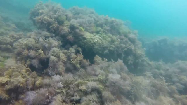 Крым (ч.6). База отдыха Кипарис в Мисхоре (Ялта). смотреть онлайн