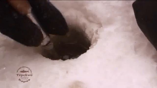 Рыбалка на Кольском. Зима. За трофеем1. смотреть онлайн