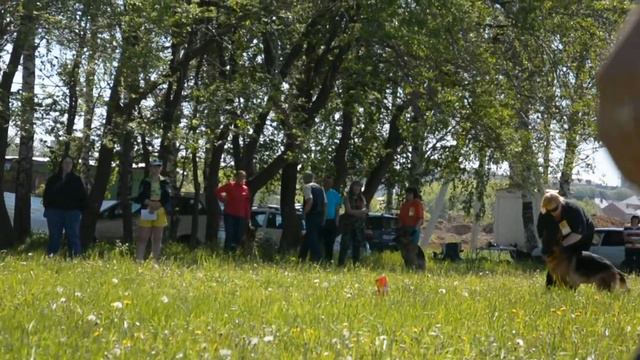 АУТБЕК УИМБЛДОН смотреть онлайн