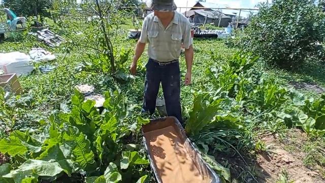 Блоки из опилкобетона и глины с опилками. Новая идея. смотреть онлайн