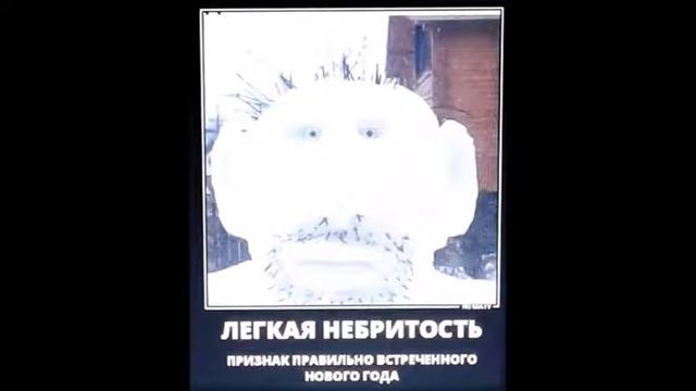 Новогодние коты , дети и ёлки !! :))прикольные фото ! !:)) смотреть онлайн