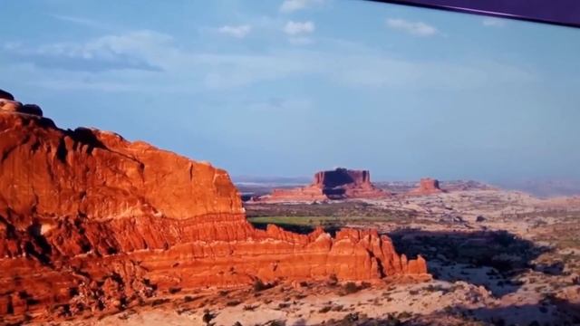 Телевизор TCL 50C647 2023 смотреть онлайн