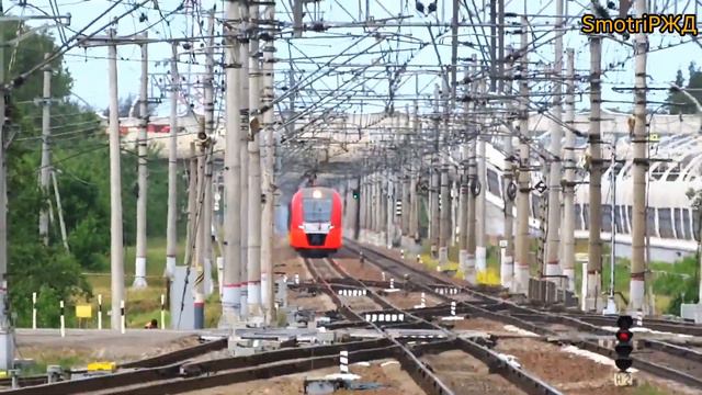 Ласточка поезд ЭС2Г-012 скоростной Белоостров смотреть онлайн