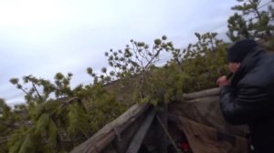 Архангельская область охота на гусей весна 23-го