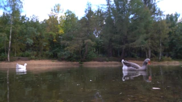 Про Озеро. Восстановление. смотреть онлайн