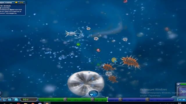 SPORE! SPORE! SPORE! смотреть онлайн