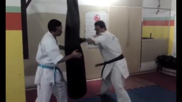SENSEI RAFAEL DINIZ KARATE 8 смотреть онлайн