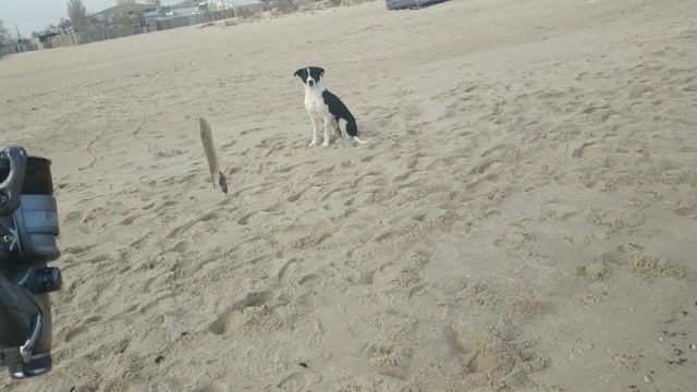 Осень рыбалка