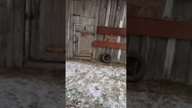 КАК ПРАВИЛЬНО КИДАТЬ НОЖИ!?? МЕТАТЕЛЬ НОЖЕЙ смотреть онлайн