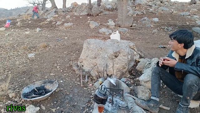 Wheat Dance: The Magical Story of Planting Narcissus and the Spirit of Allah🌾 смотреть онлайн