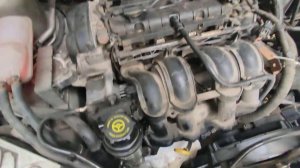 Ford Focus 2, замена жидкости ГУР. #ford #focus #fordfocus2 #ГУР #заменамасла