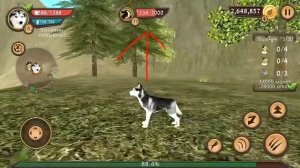 Как убить любого врага в Dog Sim| Туториал по Dog Sim |