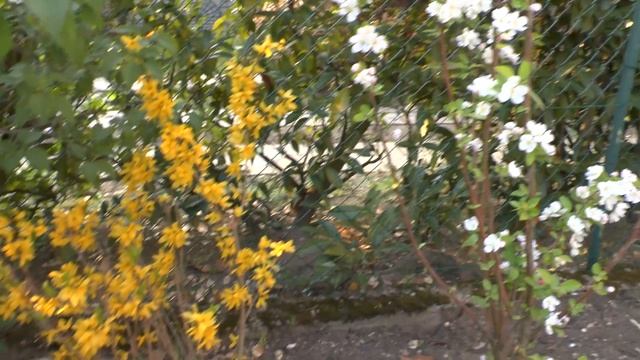 Test panasonic X900 смотреть онлайн