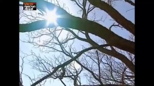 По следу "МОНСТРА" - Лесной убийца