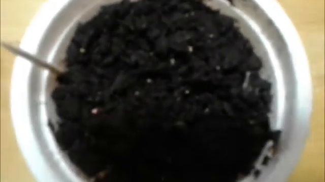 Апельсин красный из косточки смотреть онлайн