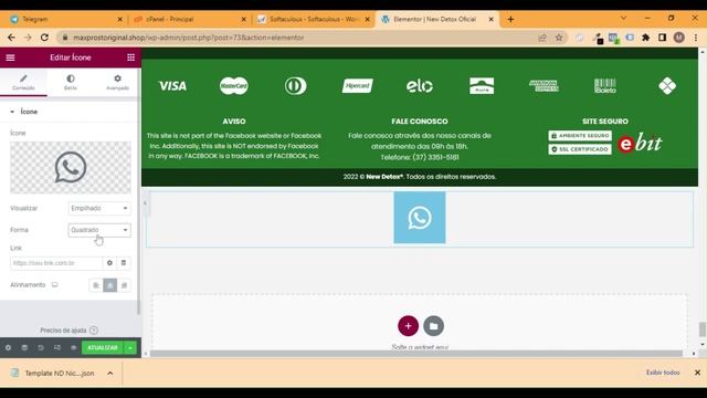 Como colocar BOTÃO DO WHATSAPP na Pagina de vendas WordPress [Sem Plugin] de forma fácil e RAPIDO смотреть онлайн