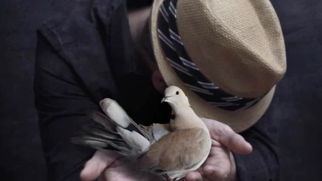 Someone Saved My Life Tonight  -  Elton John  -  (1975).mkv