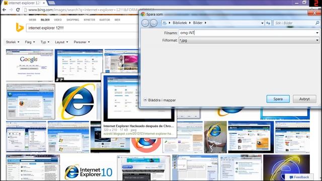 INTERNET EXPLORER 12