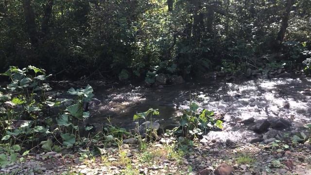 Путешествие на скалу Калим Ускан, пещеру Салавата, водопад Кук-караук, реку Зиган смотреть онлайн