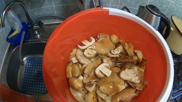 Рисование Картины по Шагам